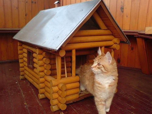 Домики для квартиры и для кошек: работа PuppyHome, фото 36