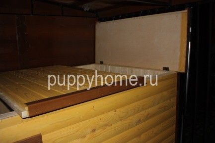 Нестандартная будка для собаки, пример 24