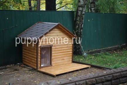 Нестандартная будка для собаки, пример 26